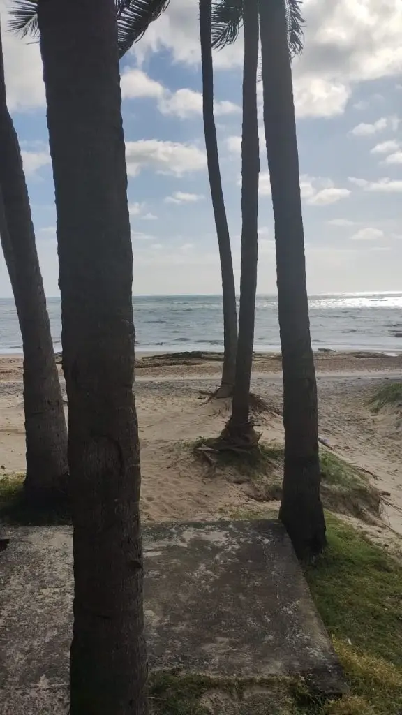 Passeio Tabuba