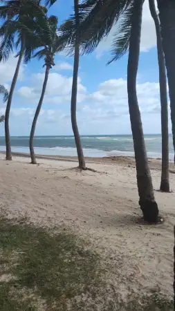 Passeio Tabuba - mar e coqueiral