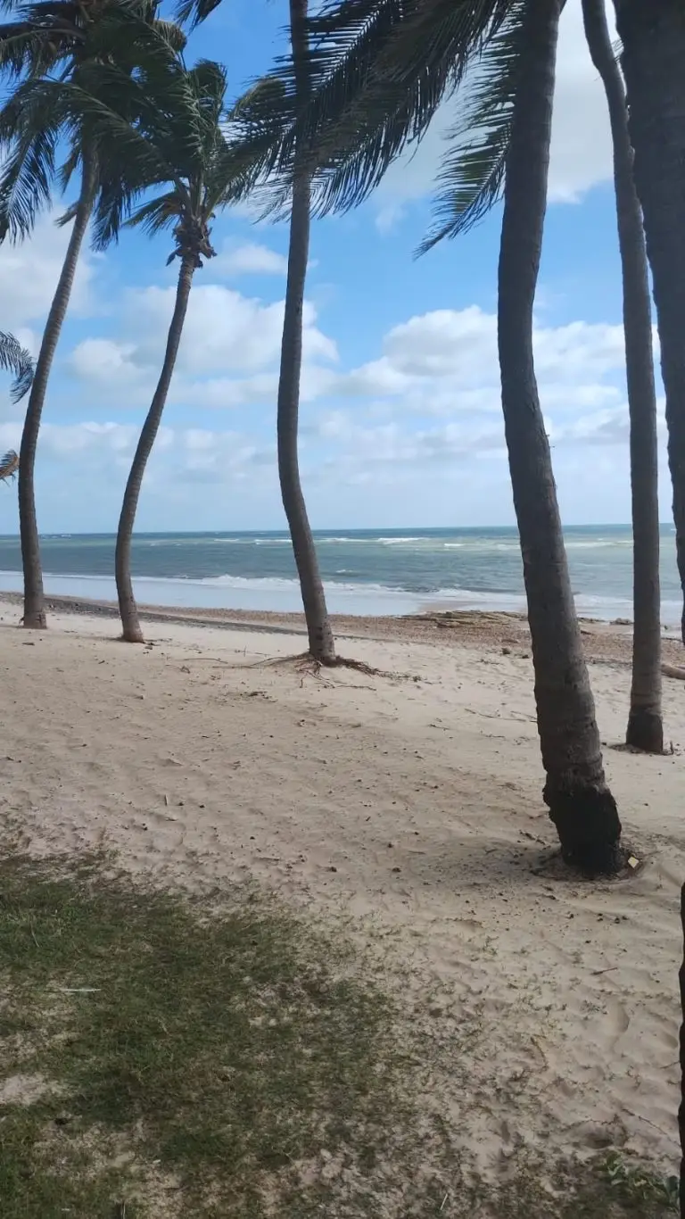 Passeio Tabuba - mar e coqueiral