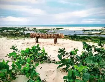 Banco feito de tronco com rio e belo mar de fundo