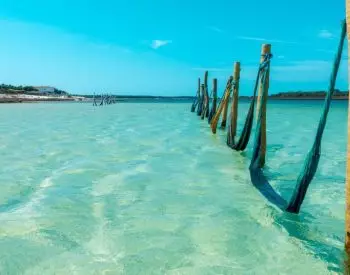 Redes em uma Lagoa