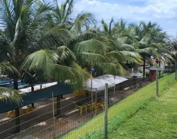 lagoinha-21