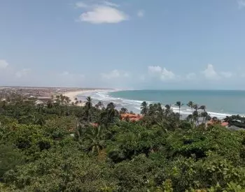 passeio-taiba (2)